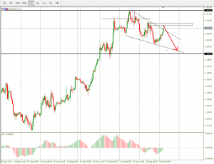 Эстафета &ldquo;Harlem Shake от Дональда Трампа&rdquo; добралась до Южной Африки