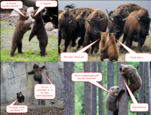 Картинка себе на память. Юмор. Комикс.