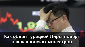 Механизм Кризиса. Как обвал турецкой лиры поверг в шок Японских инвесторов.