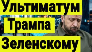 Ультиматум Трампа Зеленскому