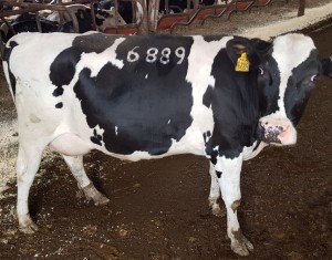 предложение по введению классификации частных инвесторов.