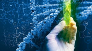 Дневник трейдера