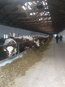 Дневник трейдера