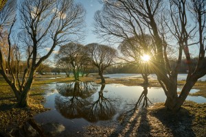 Открытые позиции - итоги февраля