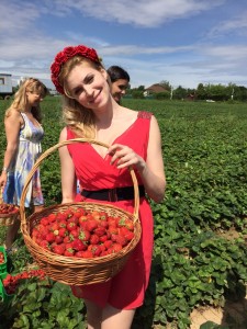 Дневник трейдера