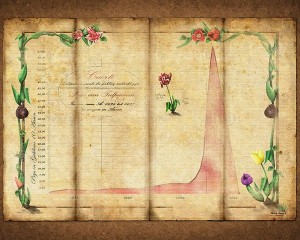 Биткойн - Волновой прогноз / Криптомания в разгаре