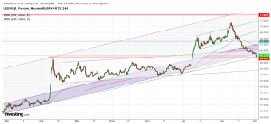 Рано хоронить доллар США