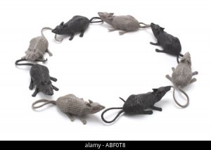 ЛДНР / Ичкерия