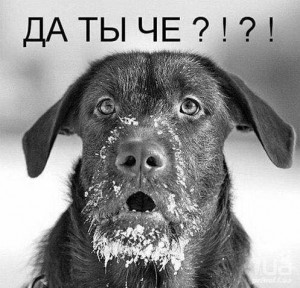 Что изменилось в феврале.