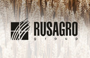 Русагро - трехзначный рост и падение рентабельности