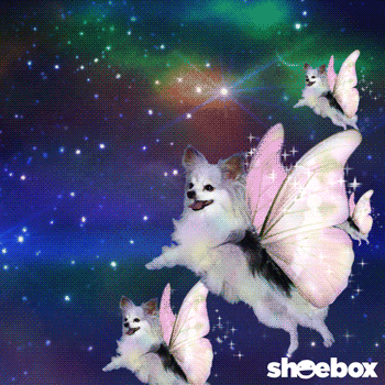 nice777.gif nice777.gif