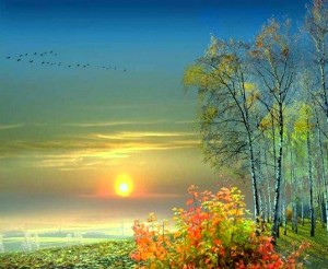 Нефть: идут на убыль летние деньки