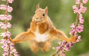 Стратегия &laquo;цап-царап&raquo;, или Что Бернард Шоу знал о сланцевой нефти