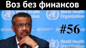 ВОЗ без финансов | Банковская отчетность  | Сланцевые гиганты | #ИиФ 56