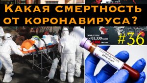 Какая смертность от коронавируса? Новые данные о пандемии. Что будет дальше? Инвестиции и факты.