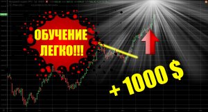 С чего начать знакомство с рынком?