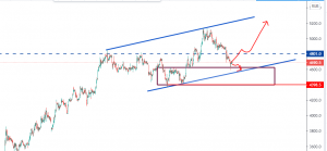 Магнит. Где ждать покупки ?
