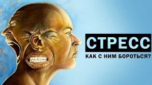Стресс в трейдинге. Как он влияет на трейдера. Как с ним бороться.
