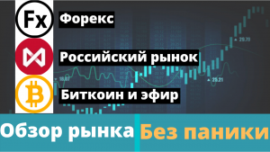 Общий обзор рынка