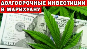 Долгосрочные инвестиции в марихуану! Разбираю перспективы компаний по производству каннабиса