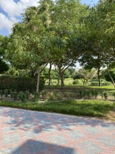 Все по плану