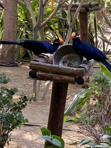 Идите лесом с Вашими поборами