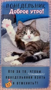 Утро понедельника легким не бывает
