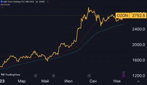 OZON — банк, о котором никто не знает?