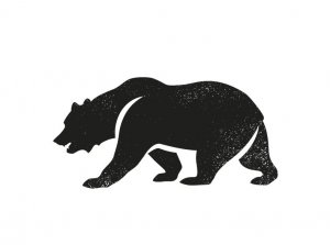 Почему пока не покупаю акции. Защитные инструменты: ОФЗ, еврооблигации. Рубль. Доллар.