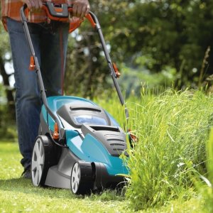 Как собрать полярда зелени под 200 000% годовых