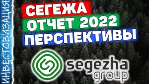 Сегежа (SGZH). Отчёт за 2022. Прогноз дивидендов. Перспективы.
