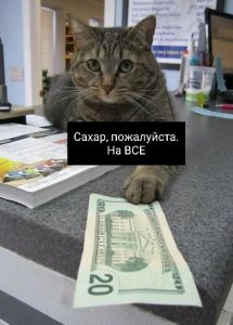 Сахар... Гречка... Деньги...