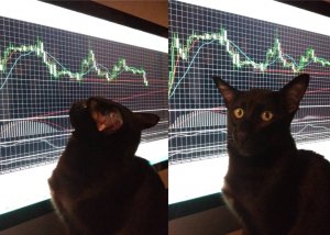 Обзор 03.08.2022